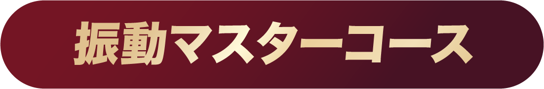 振動マスターコース